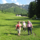 IMG_7214_JPG-1276430506