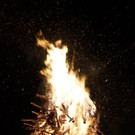 thumb__DSC2535_1024.jpg