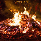 thumb__DSC2546p_1024.jpg