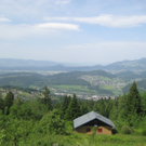 IMG_7178_JPG-1276431338