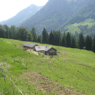 IMG_7179_JPG-1276431362