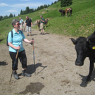 IMG_7180_JPG-1276431387