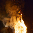 thumb__DSC2450p_1024.jpg