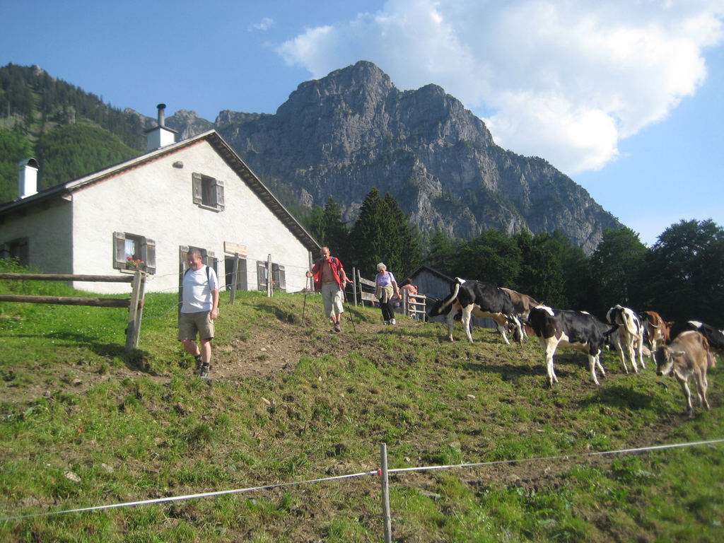 IMG_7208_JPG-1276431539