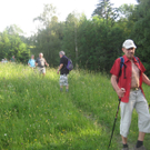 IMG_7224_JPG-1276431673