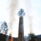 IMG_5781.JPG