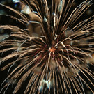 IMG_6032.JPG