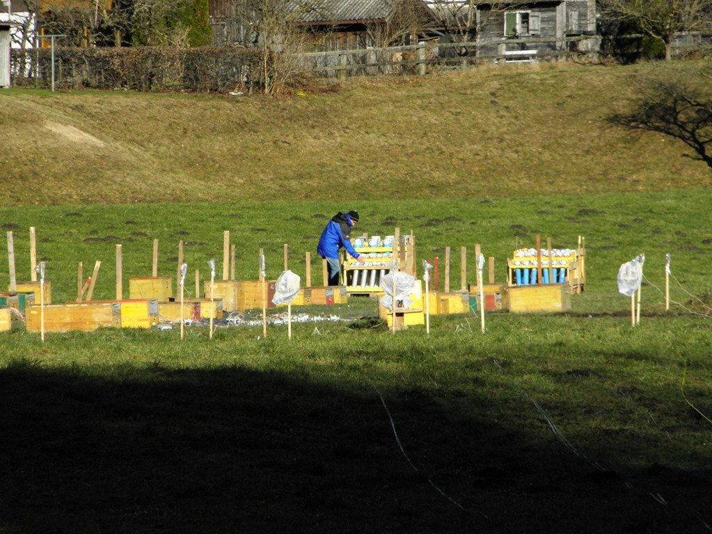 P1010924 _1_.JPG