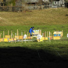 P1010924 _1_.JPG
