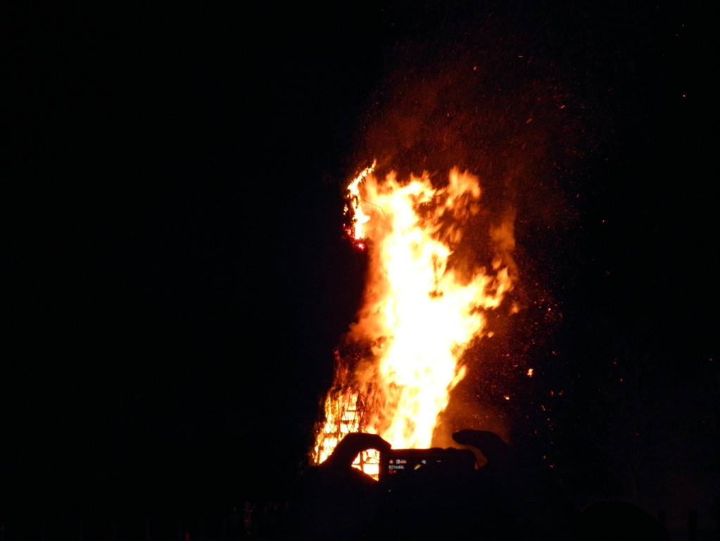 P1010931 _1_.JPG