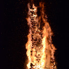 DSC_3842.JPG