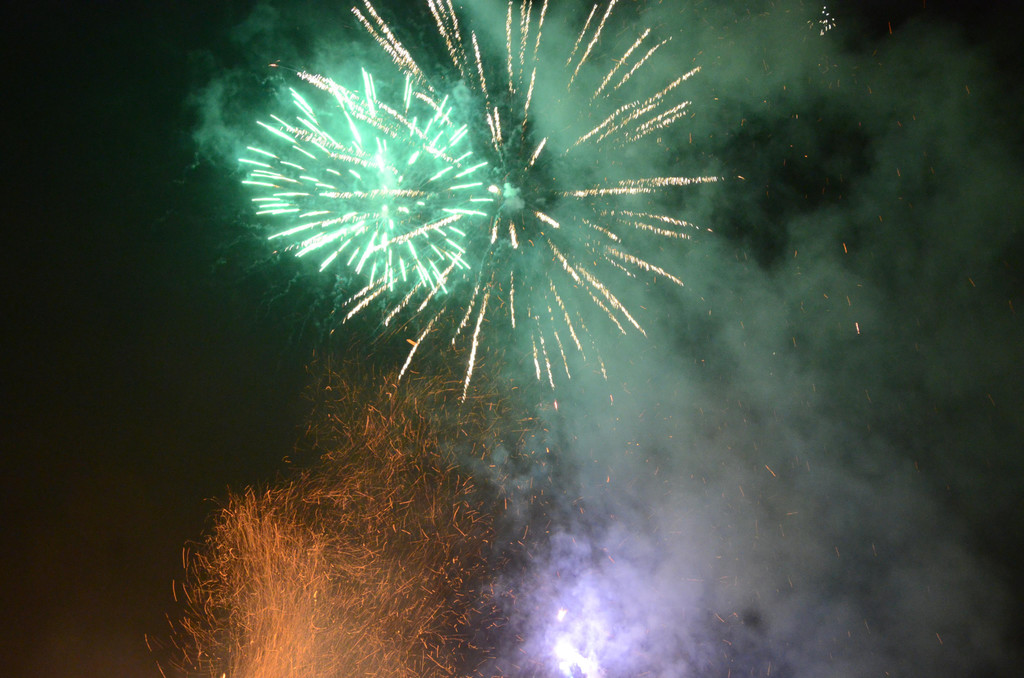 DSC_4008.JPG