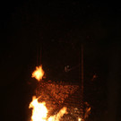 IMG_6884.jpg