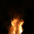 IMG_6307.JPG