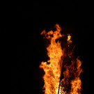 IMG_6365.JPG