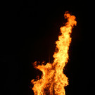 IMG_6385.JPG