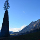 DSC_3346.jpg