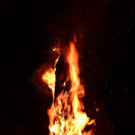 DSC_3415.jpg
