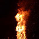 DSC_3419.jpg