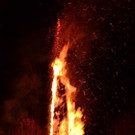 DSC_3431.jpg