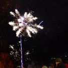 DSC_3444.jpg