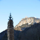 DSC_3335.jpg