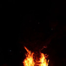 DSC_3511.jpg