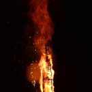 DSC_3536.jpg