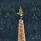 DSC_3327.jpg