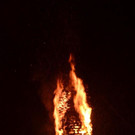 DSC_3559.jpg