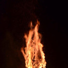 DSC_3564.jpg