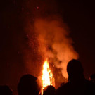 DSC_3610.jpg