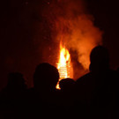 DSC_3611.jpg