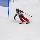 IMG_1745_JPG-1455547582.jpg