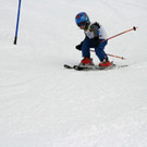 IMG_1746_JPG-1455547590.jpg