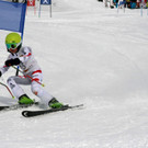 IMG_1794_JPG-1455548198.jpg