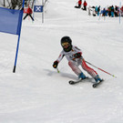 IMG_1795_JPG-1455548206.jpg