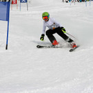 IMG_1801_JPG-1455548245.jpg