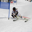 IMG_1837_JPG-1455549066.jpg