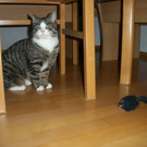 Diverse Bilder 187.JPG
