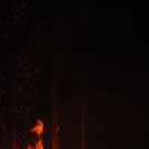 IMG_4288.jpg