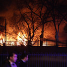 AFP_807DI.jpg