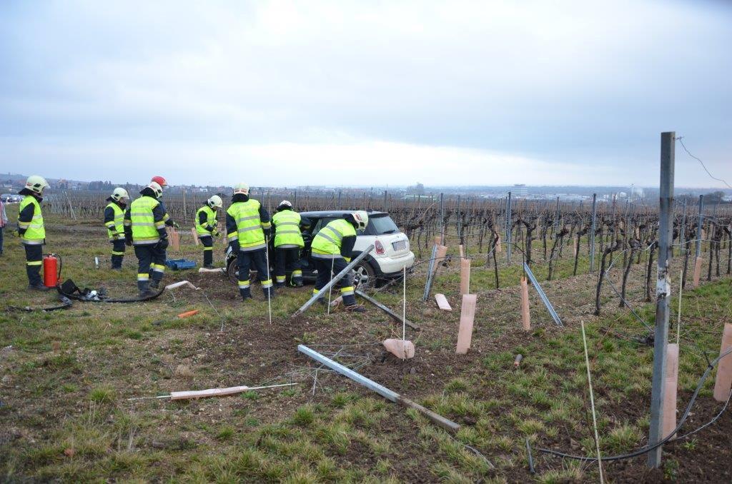 VU Pfaffstaetten _3_.jpg