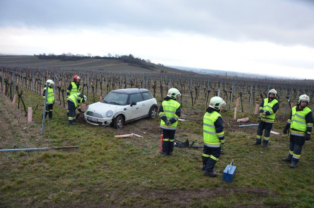 VU Pfaffstaetten _4_.jpg