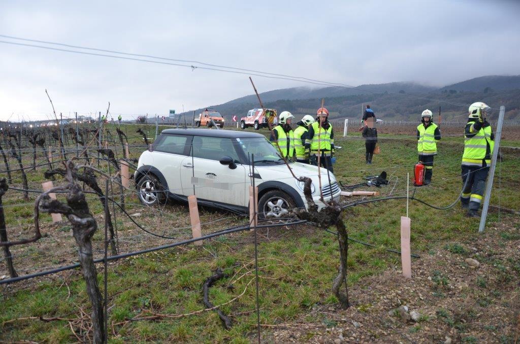 VU Pfaffstaetten _5_.jpg