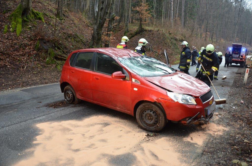 1702_VU Gumpoldskirchen _6_.jpg