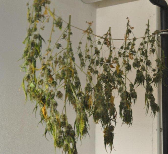 20160218 SEG Mistelbach Foto1.jpg