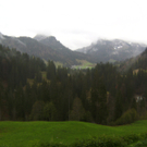 BILD0805.JPG