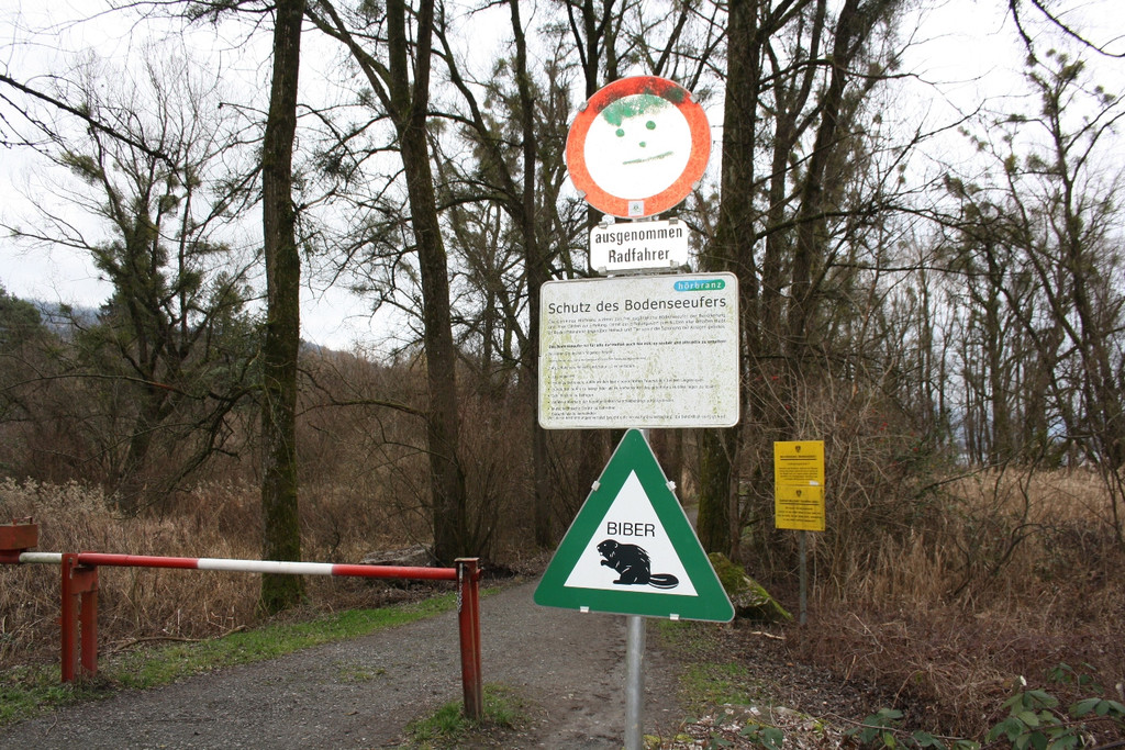 Biber am See M__hlebach H__rbranz FEB 2016 _1_.JPG