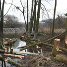 Biber am See M__hlebach H__rbranz FEB 2016 _12_.JPG